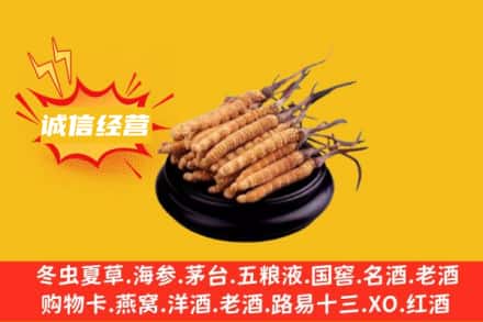沈阳市法库回收冬虫夏草